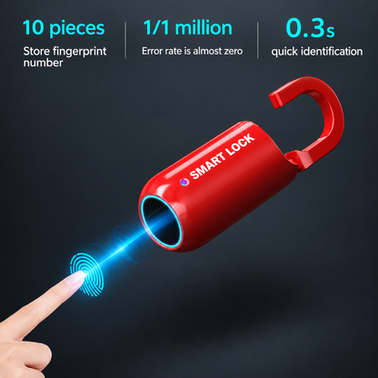Professional fingerprint lock infographic with original text